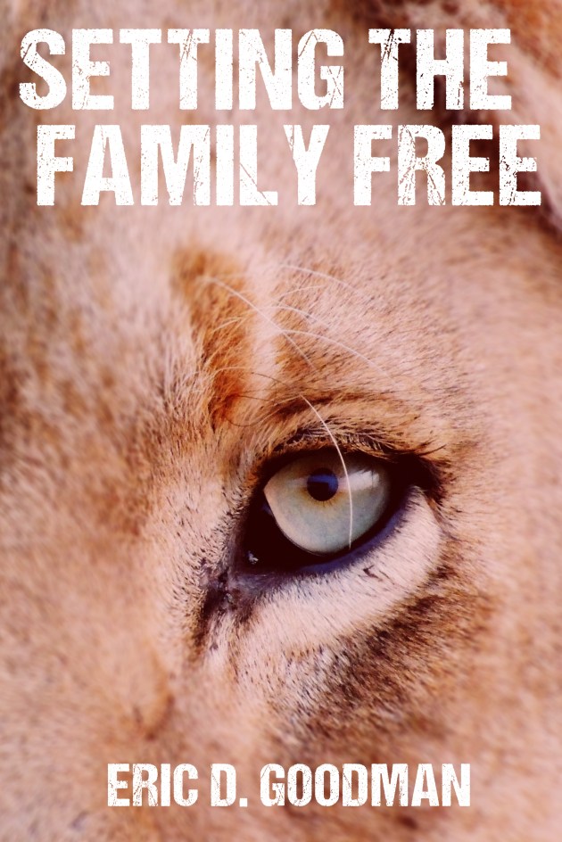 STFF Cover V6 Setting The Family Free